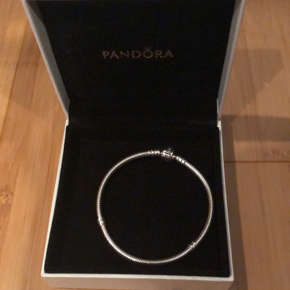 Pandora Charm Bracelet NWOT
